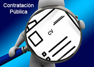 Contratación Pública